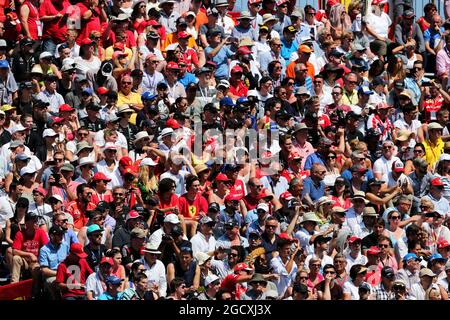 Tifosi nella tribuna. Gran Premio di Monaco, domenica 28 maggio 2017. Monte Carlo, Monaco. Foto Stock