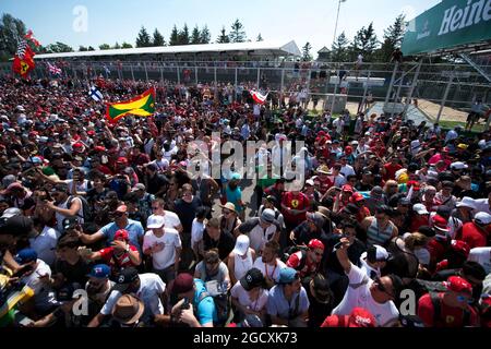 Tifosi sul podio. Gran Premio del Canada, domenica 11 giugno 2017. Montreal, Canada. Foto Stock
