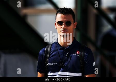 Pascal Wehrlein (GER) Sauber F1 Team. Gran Premio di Ungheria, venerdì 28 luglio 2017. Budapest, Ungheria. Foto Stock