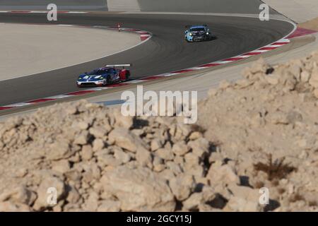 Andy Priaulx (GBR) / Harry Tincknell (GBR) 67 Ford chip Ganassi Team UK Ford GT. Campionato Mondiale FIA Endurance, turno 9, giovedì 16 novembre 2017. Sakhir, Bahrein. Foto Stock