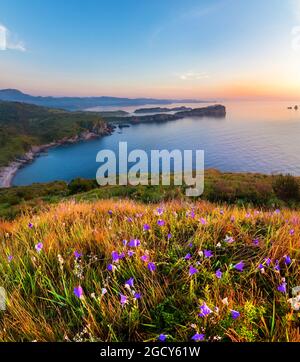 Estremo Oriente riserva marina. Primorsky regione, Russia Foto Stock