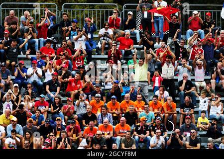 Tifosi nella tribuna. Gran Premio d'Italia, venerdì 31 agosto 2018. Monza Italia. Foto Stock