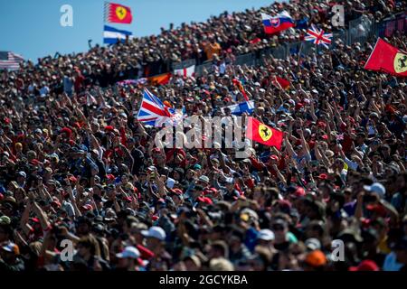 Tifosi nella tribuna. Gran Premio degli Stati Uniti, domenica 21 ottobre 2018. Circuito delle Americhe, Austin, Texas, USA. Foto Stock