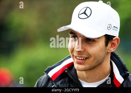 Esteban OCON (fra) pilota di riserva Mercedes AMG F1. Foto Stock