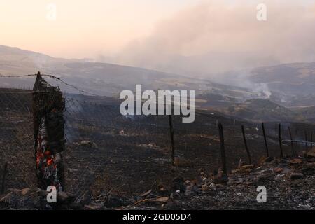 Vasto arson vicino alla città di Gangi in provincia di Palermo in Sicilia. Molte colture di campi agricoli e boschi bruciati, automobili degli agricoltori e persino animali da allevamento bruciati dalle fiamme. Foto Stock