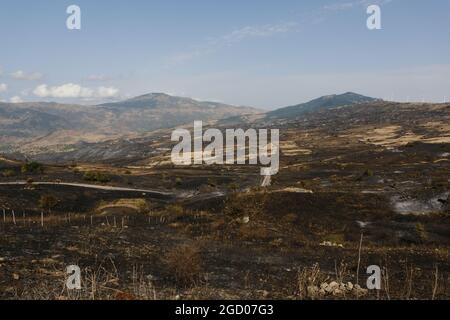 Vasto arson vicino alla città di Gangi in provincia di Palermo in Sicilia. Molte colture di campi agricoli e boschi bruciati, automobili degli agricoltori e persino animali da allevamento bruciati dalle fiamme. Foto Stock