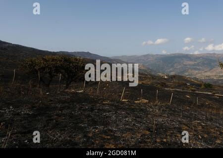Vasto arson vicino alla città di Gangi in provincia di Palermo in Sicilia. Molte colture di campi agricoli e boschi bruciati, automobili degli agricoltori e persino animali da allevamento bruciati dalle fiamme. Foto Stock