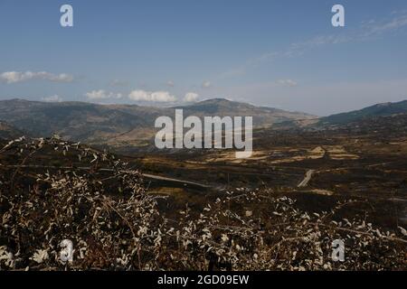 Vasto arson vicino alla città di Gangi in provincia di Palermo in Sicilia. Molte colture di campi agricoli e boschi bruciati, automobili degli agricoltori e persino animali da allevamento bruciati dalle fiamme. Foto Stock