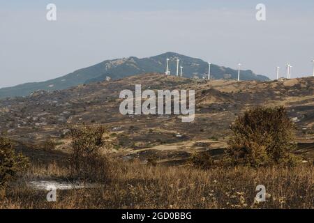 Vasto arson vicino alla città di Gangi in provincia di Palermo in Sicilia. Molte colture di campi agricoli e boschi bruciati, automobili degli agricoltori e persino animali da allevamento bruciati dalle fiamme. Foto Stock