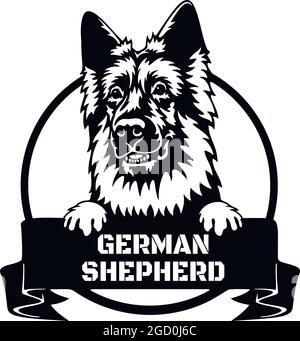 Cane da Pechino Pastore tedesco - testa isolata su bianco - stock vettoriale Illustrazione Vettoriale