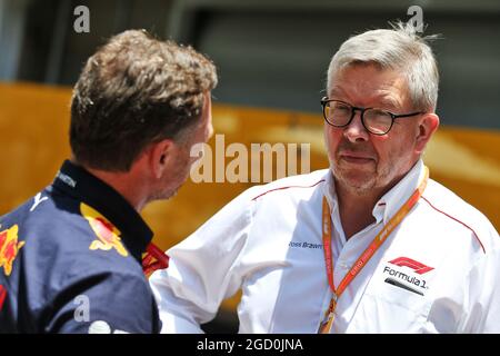 (Da L a R): Christian Horner (GBR) Red Bull Racing Team Principal con Ross Brawn (GBR) Managing Director, Motor Sports. Gran Premio del Brasile, domenica 17 novembre 2019. San Paolo, Brasile. Foto Stock