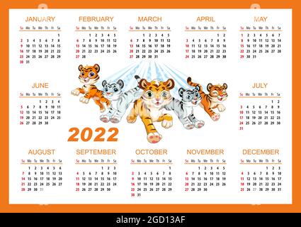 Calendario orizzontale da parete con cubetti di tigre per 2022. Carino cartone animato che esegue cinque tigri. Il simbolo dell'anno. Carattere animale. Illustri vettoriali a colori Illustrazione Vettoriale