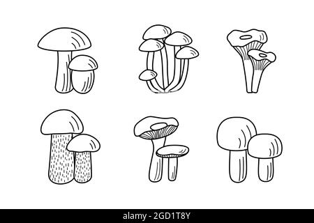 Serie di icone a fungo vettoriali. Illustrazione di boleti, canterelle, funghi miele, champignons, funghi aspen e russula Foto Stock