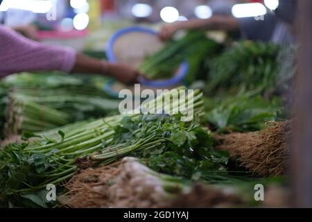 Mercato notturno in Thailandia: Una bancarella di mercato, piena di erbe fresche, e una mano di donna sopra di loro Foto Stock