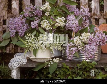 BOTANY, ADDITIONAL-RIGHTS-CLEARANCE-INFO-NOT-AVAILABLE Foto Stock