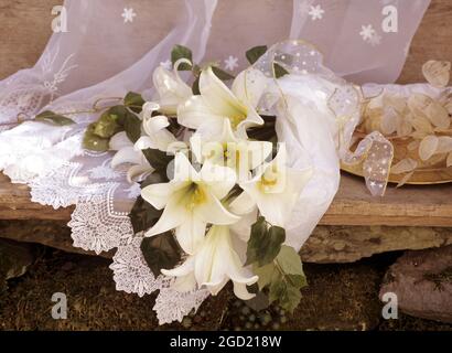 BOTANY, ADDITIONAL-RIGHTS-CLEARANCE-INFO-NOT-AVAILABLE Foto Stock