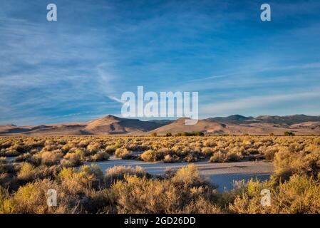 Sagebrush e palude di Chewaucan colpita dalla siccità nel sud-est dell'Oregon. Foto Stock