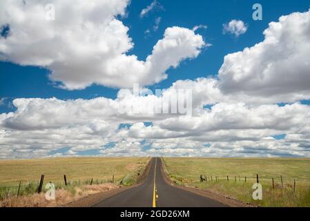 Autostrada 206 tra Condon e Hepner, Oregon. Foto Stock