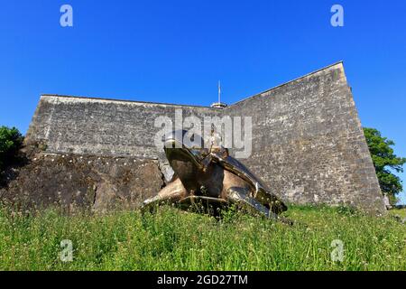 Ricerca di Utopia (2015) dell'artista belga Jan Fabre (1958-) alla Cittadella di Namur, Belgio Foto Stock