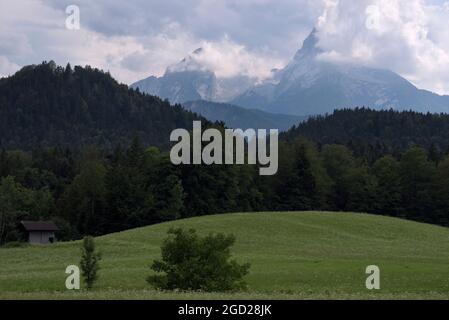 Prato verde con fiori selvatici e vista sul massiccio montano di Watzmann circondato da nuvole, Berchtesgaden, Baviera, Germania Foto Stock
