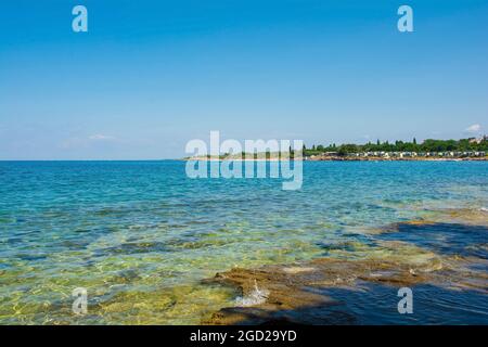 La costa adriatica a luglio a nord di Cittanova, Istria, Croazia Foto Stock