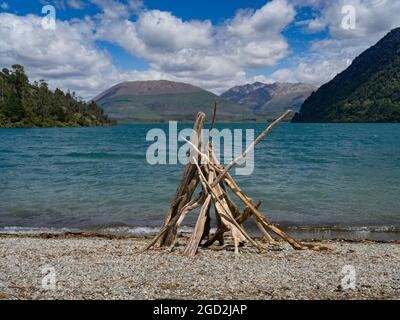 Driftwood at Lakeside, Lake Wakatipu, Queenstown, Otago Region, South Island, Nuova Zelanda Foto Stock