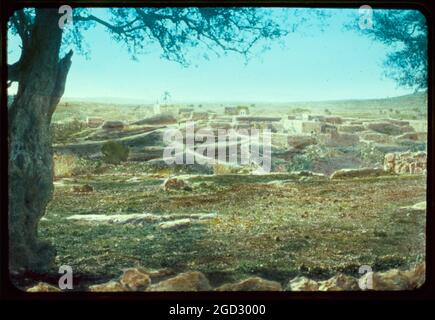 Palestina meridionale, Hebron, Beerseba e area di Gaza. Villaggio di Zacharia, Succoth. Ca. Tra il 1950 e il 1977 Foto Stock
