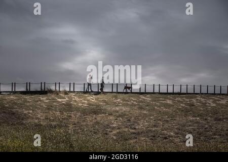 Praia da memoria, Portogallo - 28 aprile 2017: Persone e cani camminano su una passerella in legno da una duna di sabbia vicino al mare. Portogallo settentrionale. Foto Stock