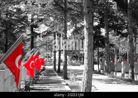 Lapidi dei soldati turchi KIA (uccisi in azione) con bandiere turche rosse al martirio dell'Airforce Monocromo con filtro rosso Eskisehir/Turchia Foto Stock