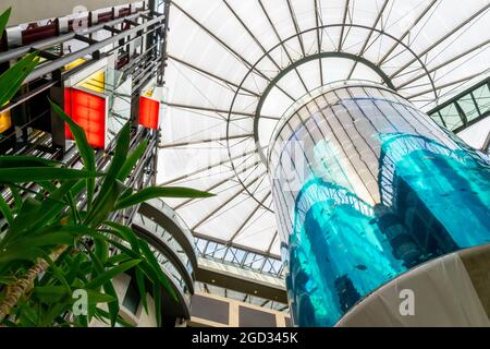 Vista su AquaDom, tetto, ascensori nella hall del Radisson Blue Hotel, Berlino, Germania Foto Stock