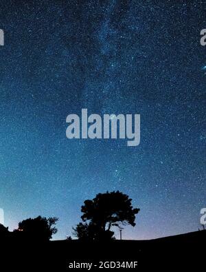 Foto astronomica con via Láctea e silhouette di alberi Foto Stock