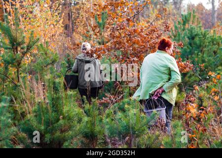 I raccoglitori di funghi raccolgono i funghi nella foresta. Vista dal retro. Due donne. Azienda in natura. Paesaggio autunnale. Amicizia. Messa a fuoco selettiva. Foto Stock