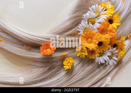 Capelli biondi con fiori di camomilla su di esso. Concetto di cura dei capelli. Foto Stock