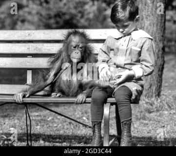 Ragazzo seduto con orangutan in panchina al National Zoo, Washington, D.C. ca. Tra il 1909 e il 1932 Foto Stock