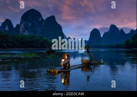 Pescatore cormorano in mostra tradizionale dei suoi uccelli sul fiume li vicino Xingping, provincia di Guangxi, Cina. Foto Stock