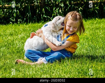 Giovane ragazza che gioca su erba con sei settimane di età Platinum, o Cream Coloured Golden Retriever cuccioli. Foto Stock