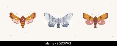 Farfalla in stile bohémien. Insetti astratti disegnati a mano con luna, stelle e costellazione. Set di magia Boho doodle. Illustrazione vettoriale vintage Illustrazione Vettoriale