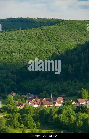 FRANCIA, BAS-RHIN (67), PARCO NATURALE REGIONALE DEI VOSGI DEL NORD, VILLAGGIO DI DAMBACH Foto Stock