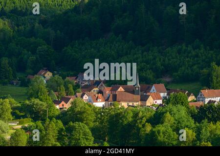 FRANCIA, BAS-RHIN (67), PARCO NATURALE REGIONALE DEI VOSGI DEL NORD, VILLAGGIO DI DAMBACH Foto Stock