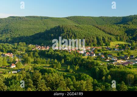 FRANCIA, BAS-RHIN (67), PARCO NATURALE REGIONALE DEI VOSGI DEL NORD, VILLAGGIO DI DAMBACH Foto Stock