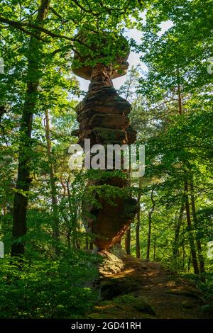 FRANCIA, BAS-RHIN (67), PARCO NATURALE REGIONALE DEI VOSGI DEL NORD, DAMBACH, ROCCIA DELL'UOMO Foto Stock