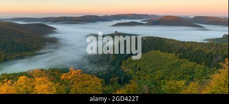 FRANCIA, BAS-RHIN (67), PARCO NATURALE REGIONALE DEI VOSGI DEL NORD, LEMBACH, NEBBIA MATTUTINA SUI VOSGI DEL NORD IN AUTUNNO E CASTELLO DI FLECKENSTEIN Foto Stock