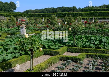 FRANCIA, INDRE ET LOIRE (37) CHATEAU DE VILLANDRY, ORTO Foto Stock
