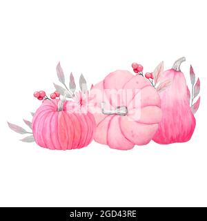 Acquerello disegnato a mano illsutrazione di autunno pastello zucche rosa molle con foglie grigie e fiori. Carte dell'acquazzone del bambino, invito, disegno di Halloween, stampe di Thanksgiving. Cute pittura kawaii per ragazze Foto Stock