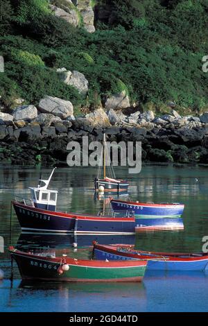 FRANCIA, FINISTERE(29), NEL PICCOLO PORTO DI PORTSALL, BARCHE DA PESCA ALL'ANCORA, BRETAGNA. Foto Stock