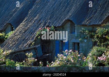 FRANCIA, LOIRE ATLANTIQUE (44), PARCO NATURALE REGIONALE DI BRIERE, VILLAGGIO DI KERHINET, UN COTTAGE, BRETAGNA Foto Stock
