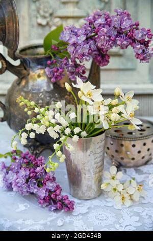BOTANY, ADDITIONAL-RIGHTS-CLEARANCE-INFO-NOT-AVAILABLE Foto Stock
