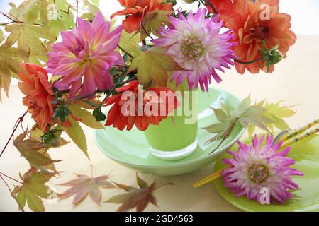 Botany, dahlias in un vaso di vetro con foglie acer, INFORMAZIONI-DI-AUTORIZZAZIONE-DIRITTI-AGGIUNTIVI-NON-DISPONIBILI Foto Stock