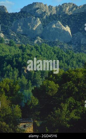 FRANCIA, VAUCLUSE (84), DENTELLES DE MONTMIRAIL NON LONTANO DA BEAUMES DE VENISE Foto Stock