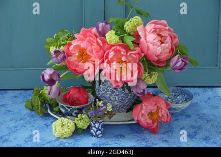 BOTANY, ADDITIONAL-RIGHTS-CLEARANCE-INFO-NOT-AVAILABLE Foto Stock